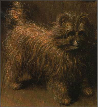 Van-Eyck-The-Arnolfini-Dog