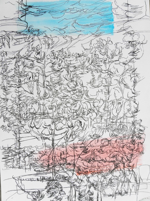 Kirombe garden, rainy season 2014, large-drawing number 2. 420 x 590 mm. Watercolour on paper.