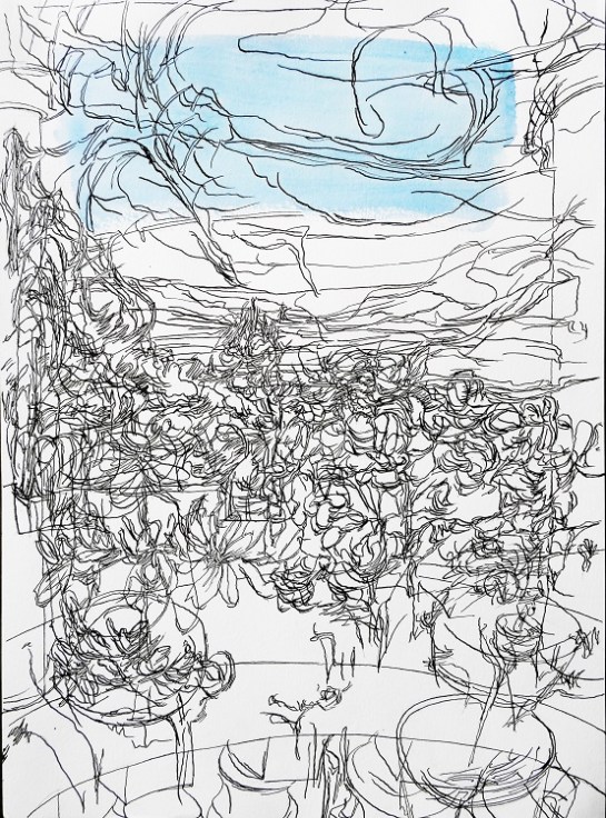 Kirombe garden, rainy season 2015, large-drawing number 6. 420 x 590 mm. Watercolour on paper.