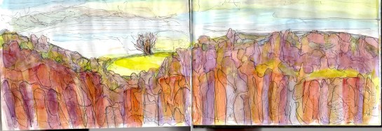 Uppacott Down from Castle Drogo Dec 2015