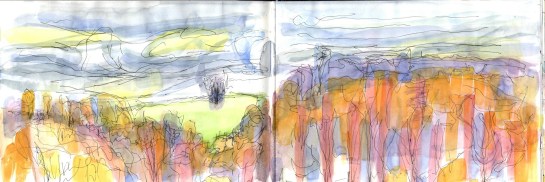 Uppacott Down from Castle Drogo Jan 2016