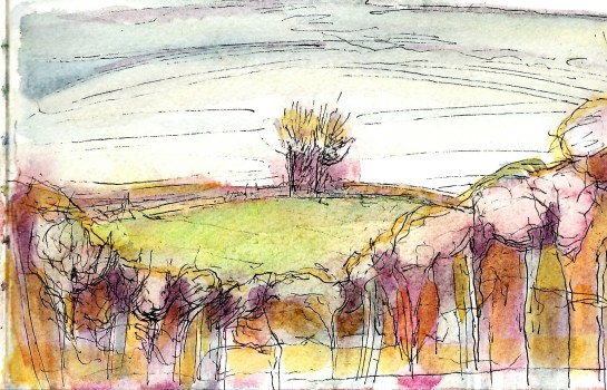 Uppacott Down from Castle Drogo Oct 2015