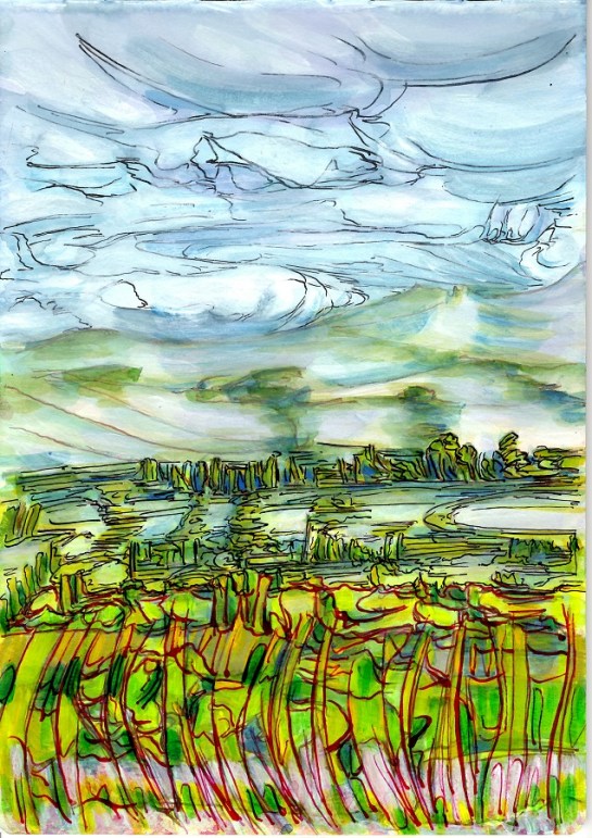 'From Jacobstowe towards West Mill Tor and Yes Tor, Summer 2016‘ No 2. 30 x 21cm. Acrylic, Watercolour and Indian Ink on Paper