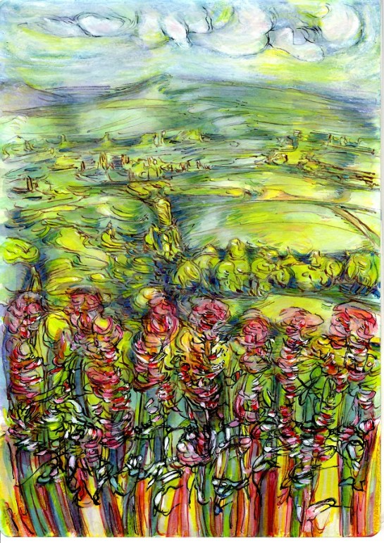 'From Jacobstowe towards Yes Tor and High Willhays Summer 2016‘ No 1. 30 x 21cm. Acrylic, Watercolour and Indian Ink on Paper